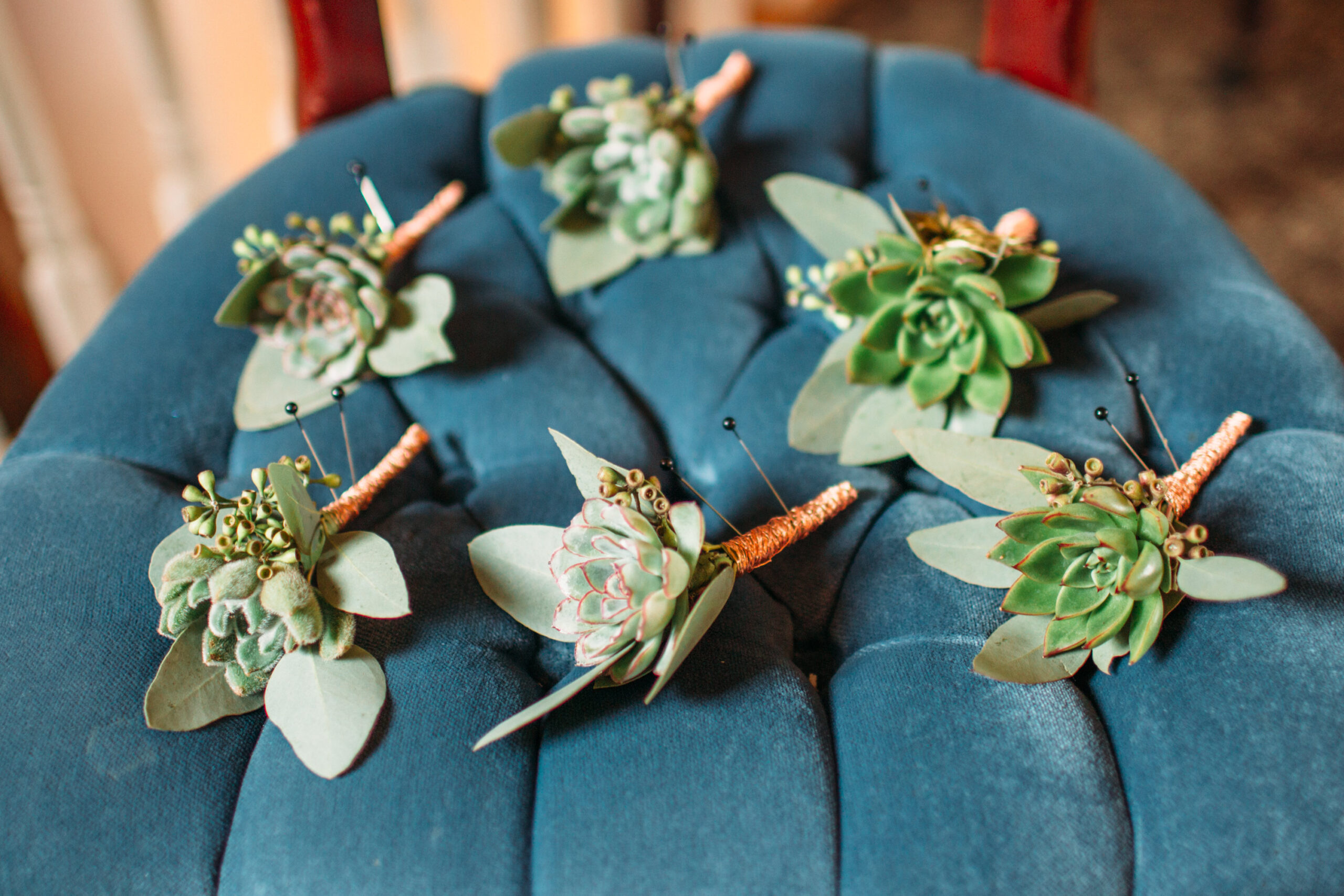 View More: http://ciccarelliphotography.pass.us/christinesuntopphotos