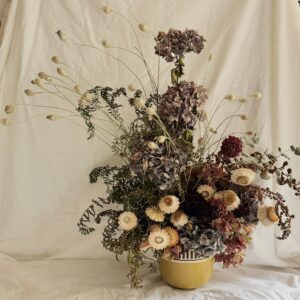 Dried Design